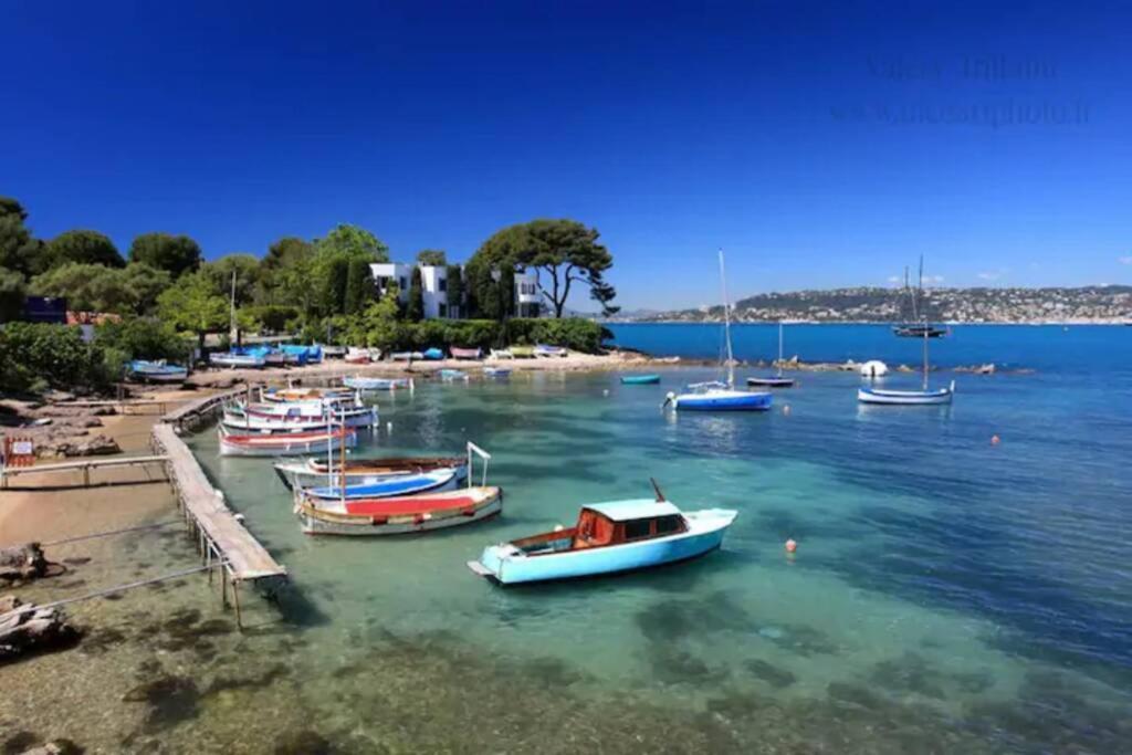 Coeur De Juan, Calme, 300M Plages - Easy Check-In Antibes Eksteriør billede