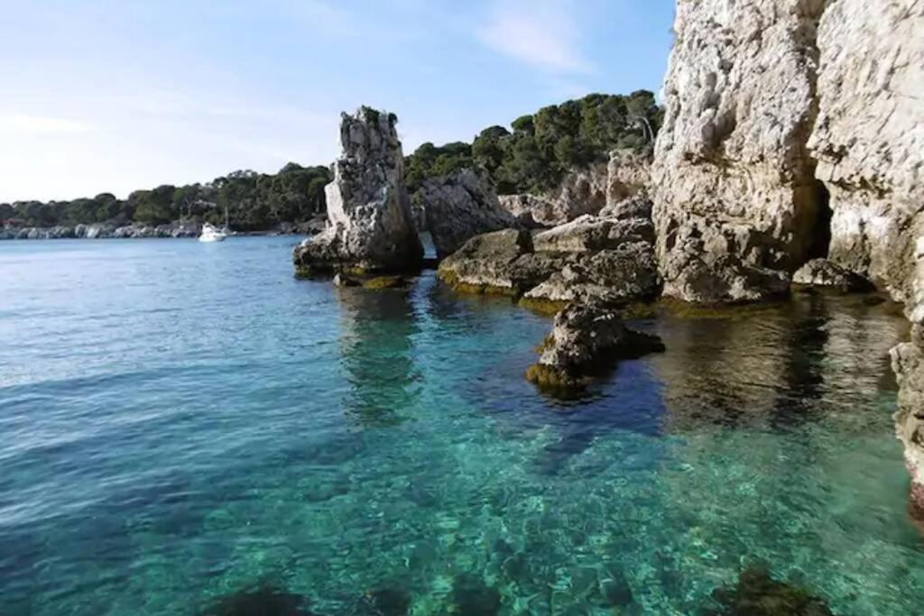 Coeur De Juan, Calme, 300M Plages - Easy Check-In Antibes Eksteriør billede