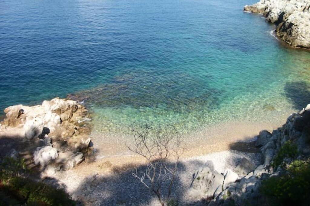 Coeur De Juan, Calme, 300M Plages - Easy Check-In Antibes Eksteriør billede